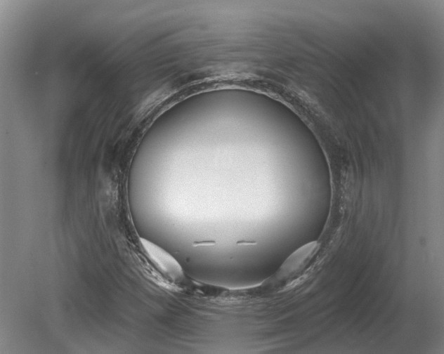 X0000080151257200612081312