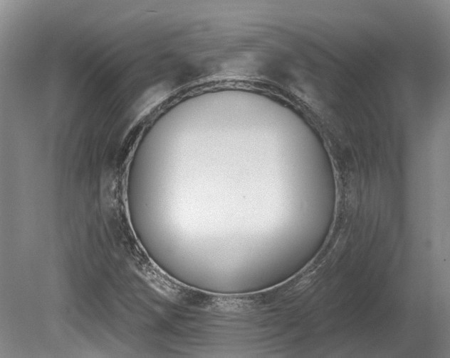 X0000080151258200612081312