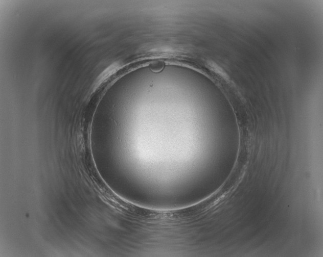 X0000080151259200612081312