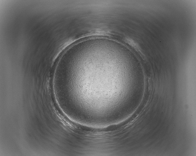 X0000080151260200612081312
