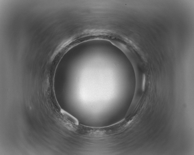 X0000080151261200612081312