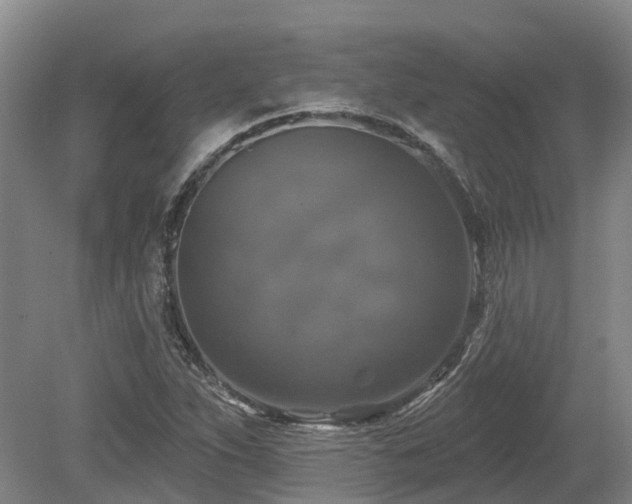 X0000080151263200612081312