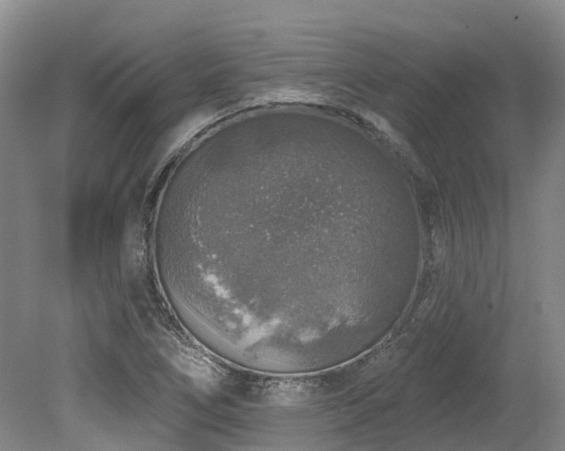 X0000080151266200612081312
