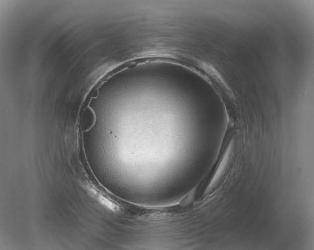 X0000080151268200612081312