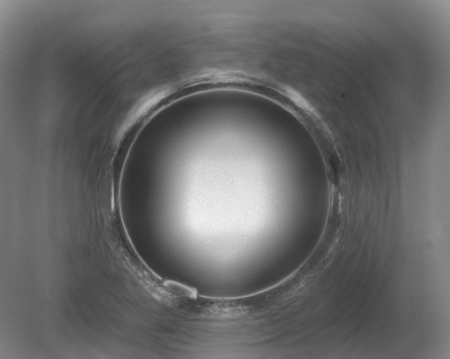 X0000080151269200612081312