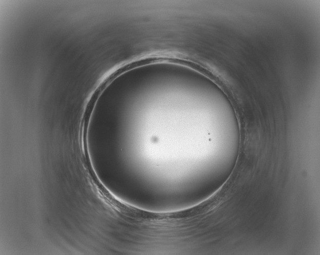 X0000080151272200612081312