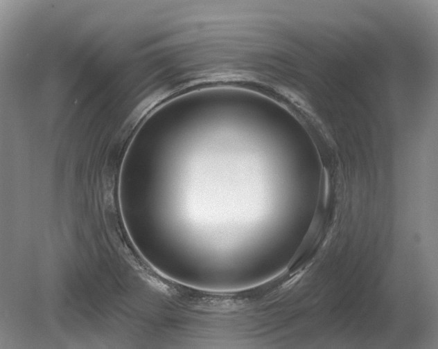 X0000080151273200612081312