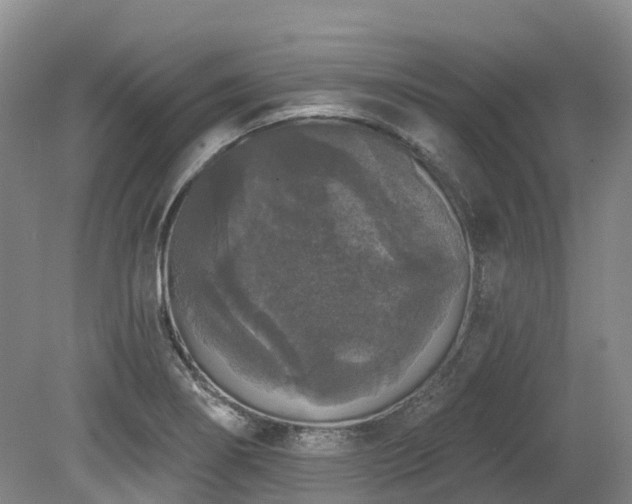 X0000080151274200612081312