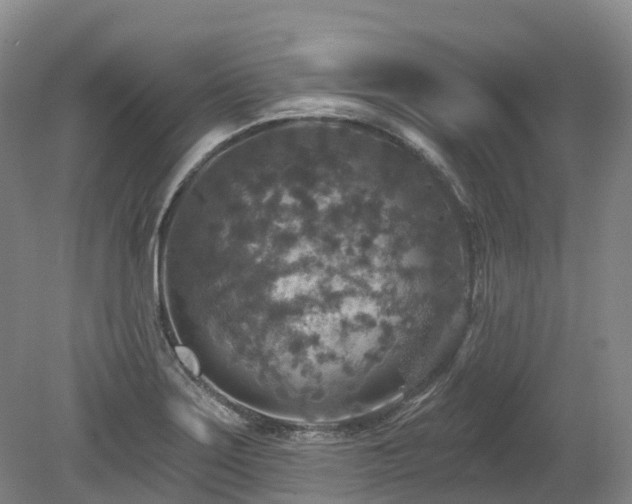 X0000080151275200612081312