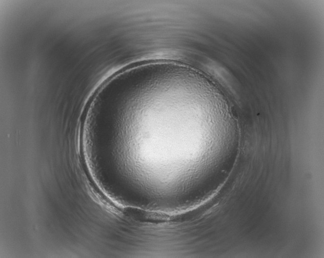 X0000080151276200612081312