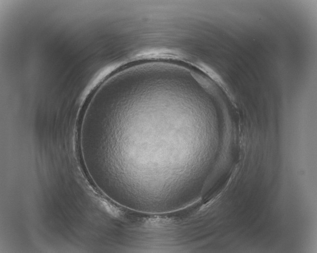 X0000080151277200612081312
