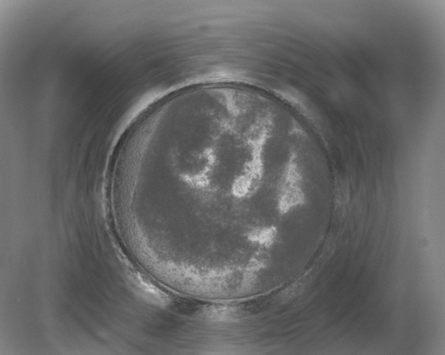 X0000080151278200612081312