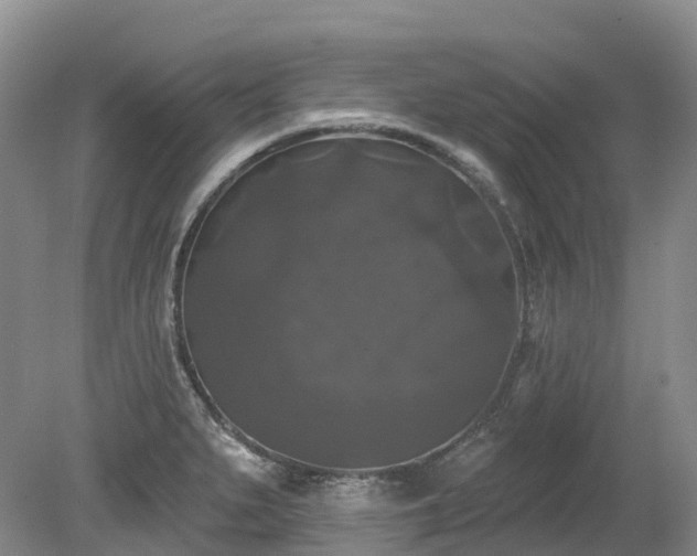 X0000080151279200612081312