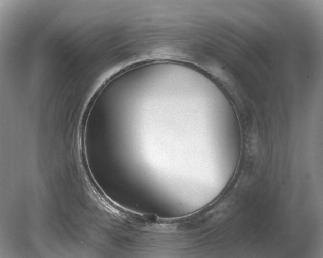 X0000080151280200612081312