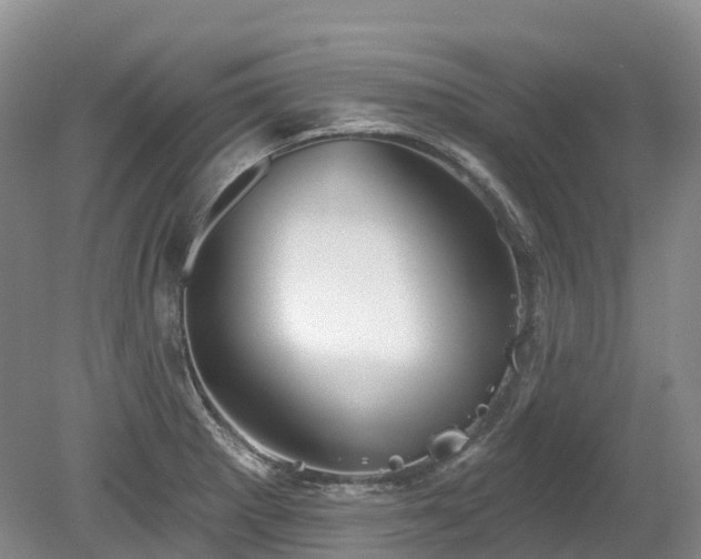 X0000080151281200612081312