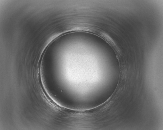 X0000080151284200612081312