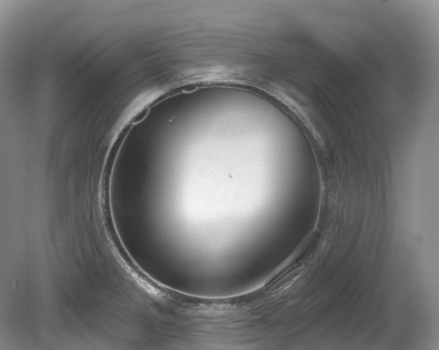 X0000080151285200612081312