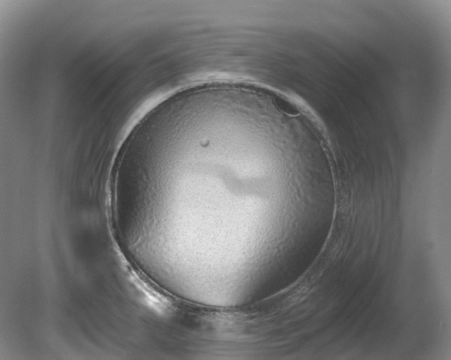 X0000080151287200612081312