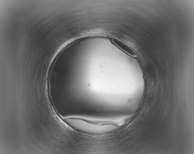X0000080151288200612081312