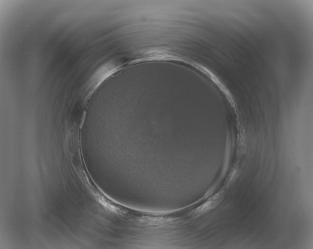 X0000080151289200612081312