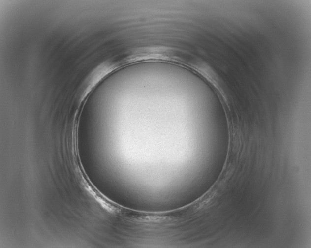 X0000080151290200612081312