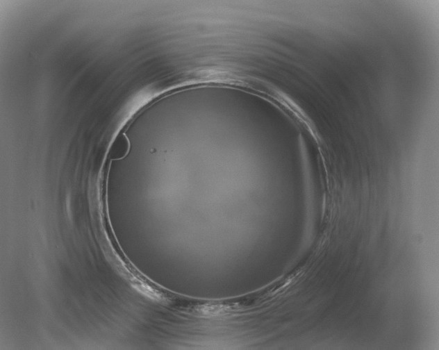 X0000080151291200612081312
