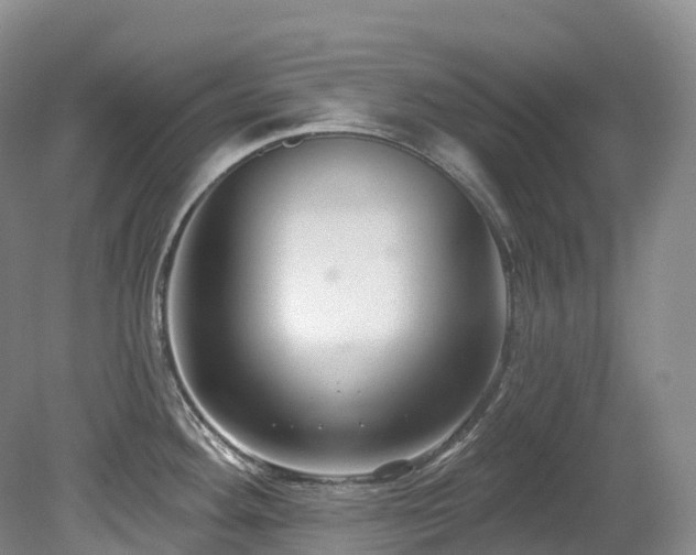 X0000080151292200612081312