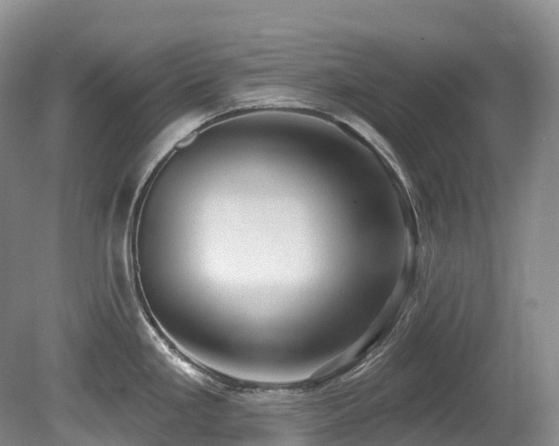 X0000080151293200612081312