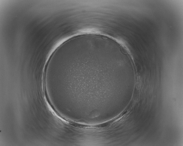 X0000080151295200612081312