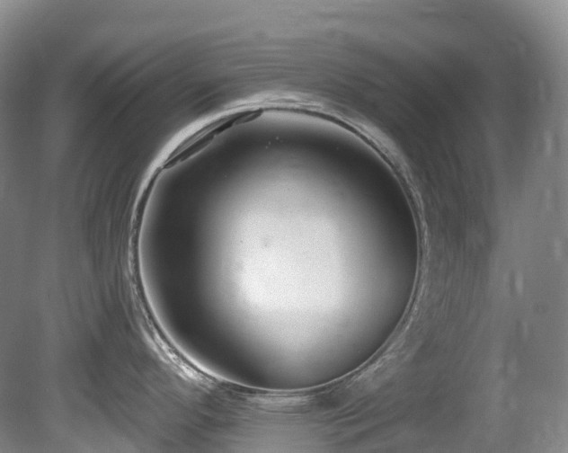 X0000080151296200612081312