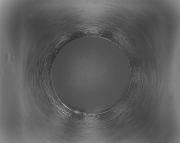 X0000080151297200612081311