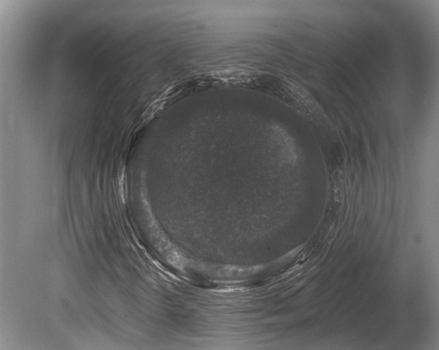 X0000080151298200612081311