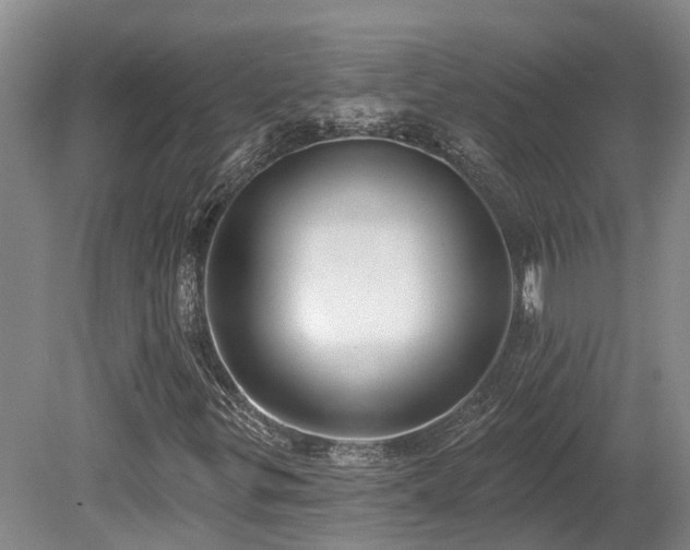 X0000080151299200612081311