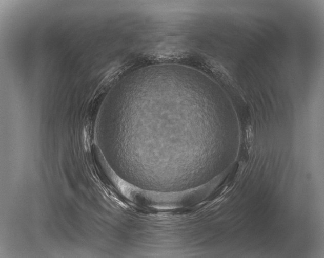 X0000080151300200612081311