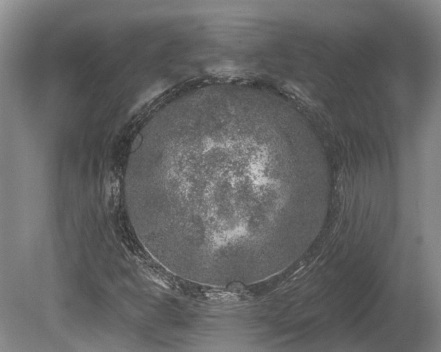 X0000080151302200612081311
