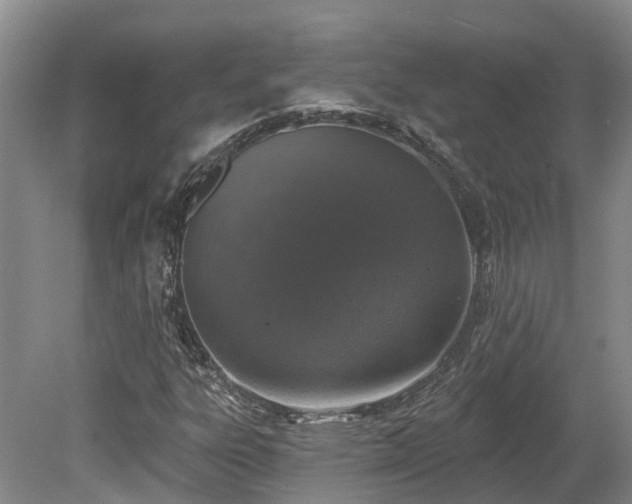 X0000080151303200612081311