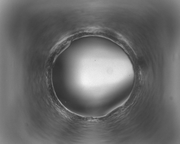 X0000080151304200612081311