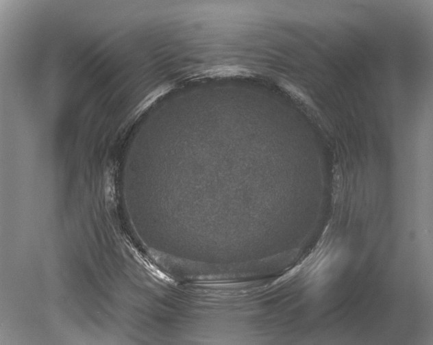 X0000080151305200612081311