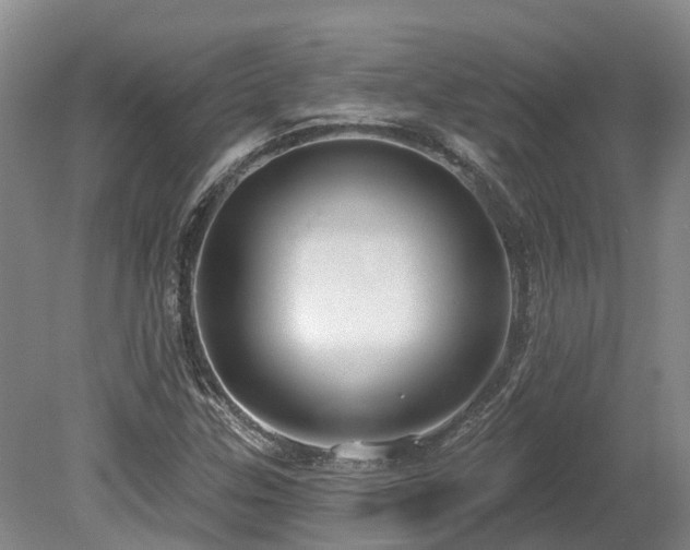 X0000080151307200612081311