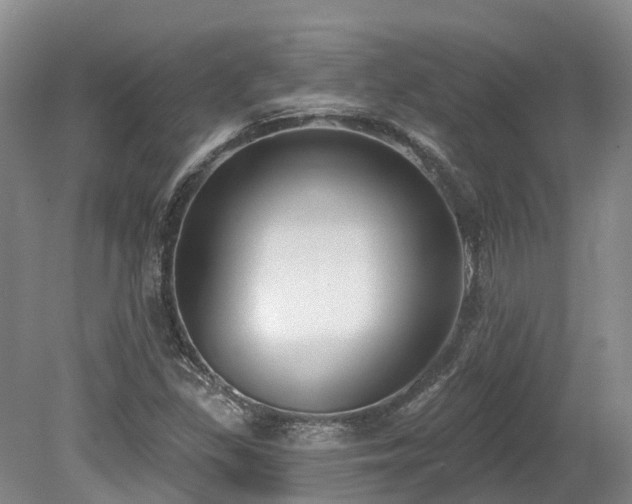 X0000080151309200612081311