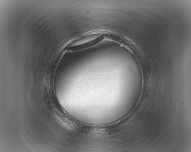 X0000080151313200612081311