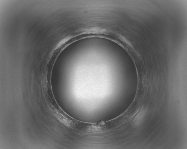 X0000080151315200612081311