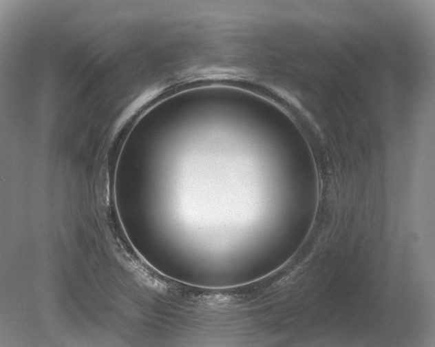 X0000080151317200612081311