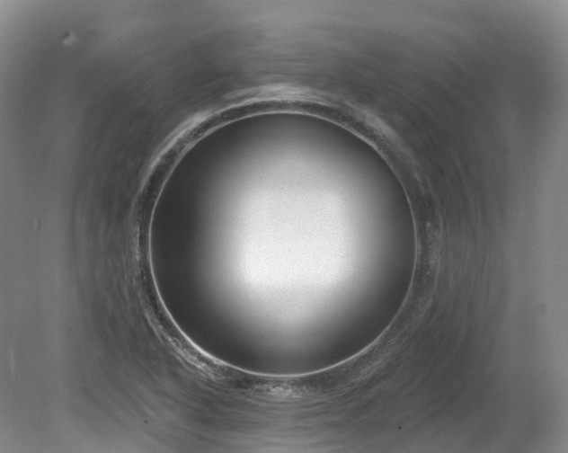 X0000080151318200612081311