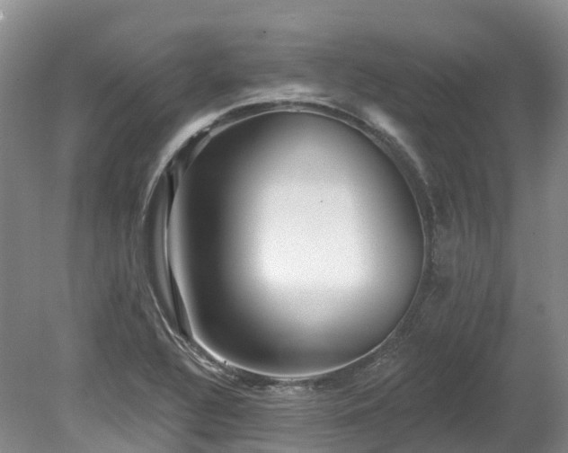 X0000080151320200612081311