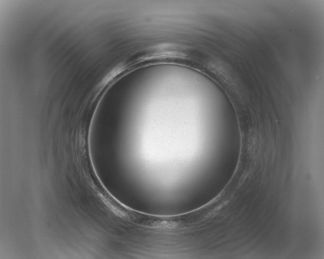 X0000080151321200612081311