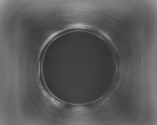 X0000080151323200612081311