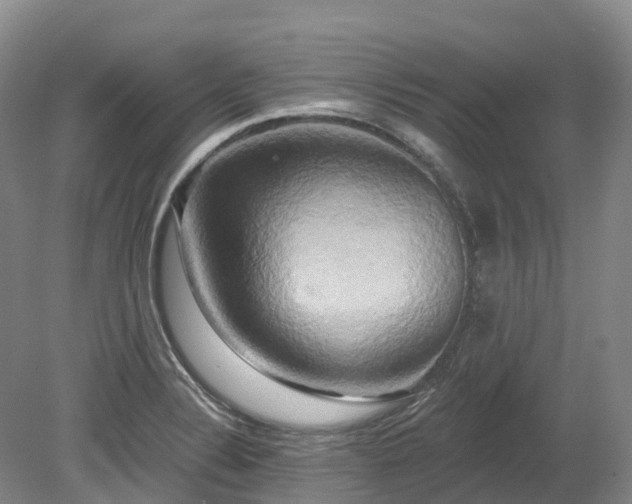 X0000080151324200612081311