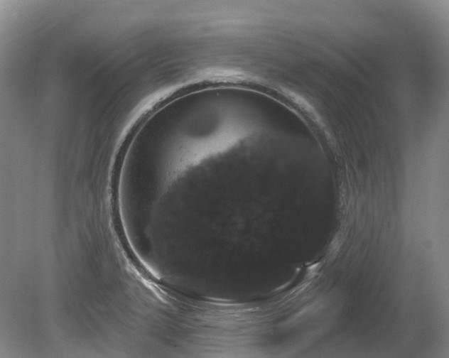 X0000080151327200612081312