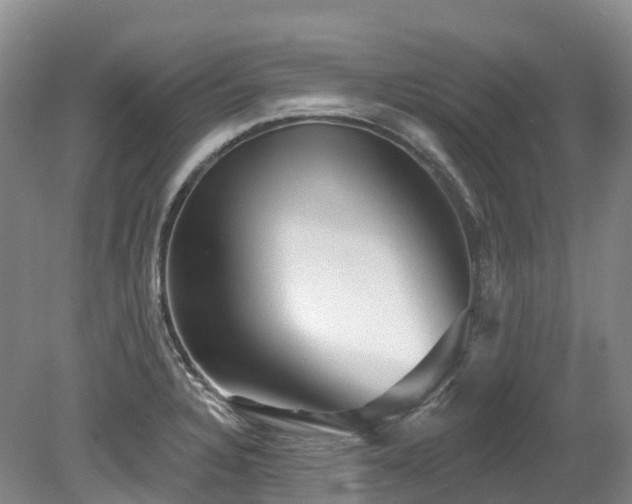 X0000080151328200612081312